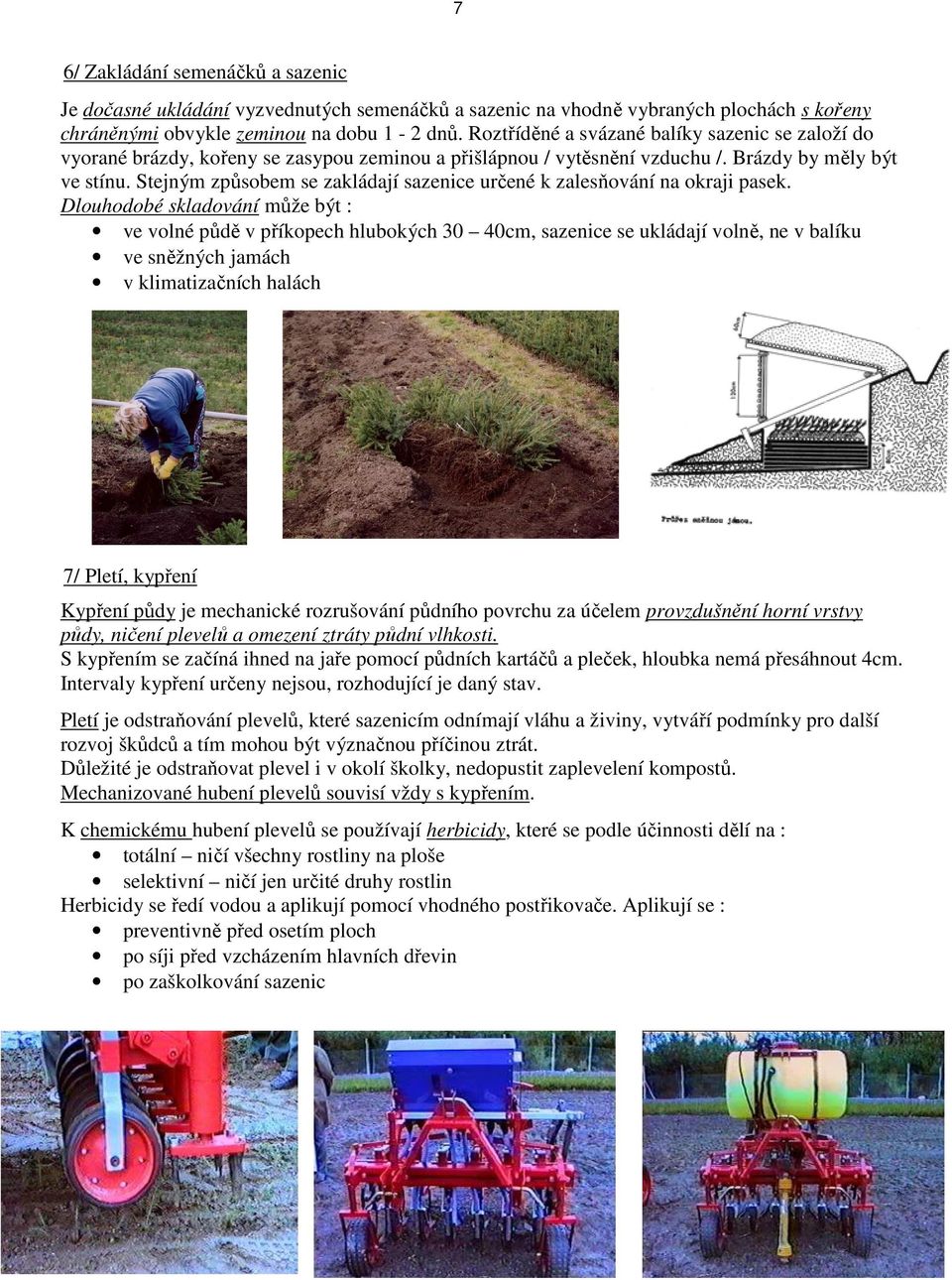 Stejným způsobem se zakládají sazenice určené k zalesňování na okraji pasek.