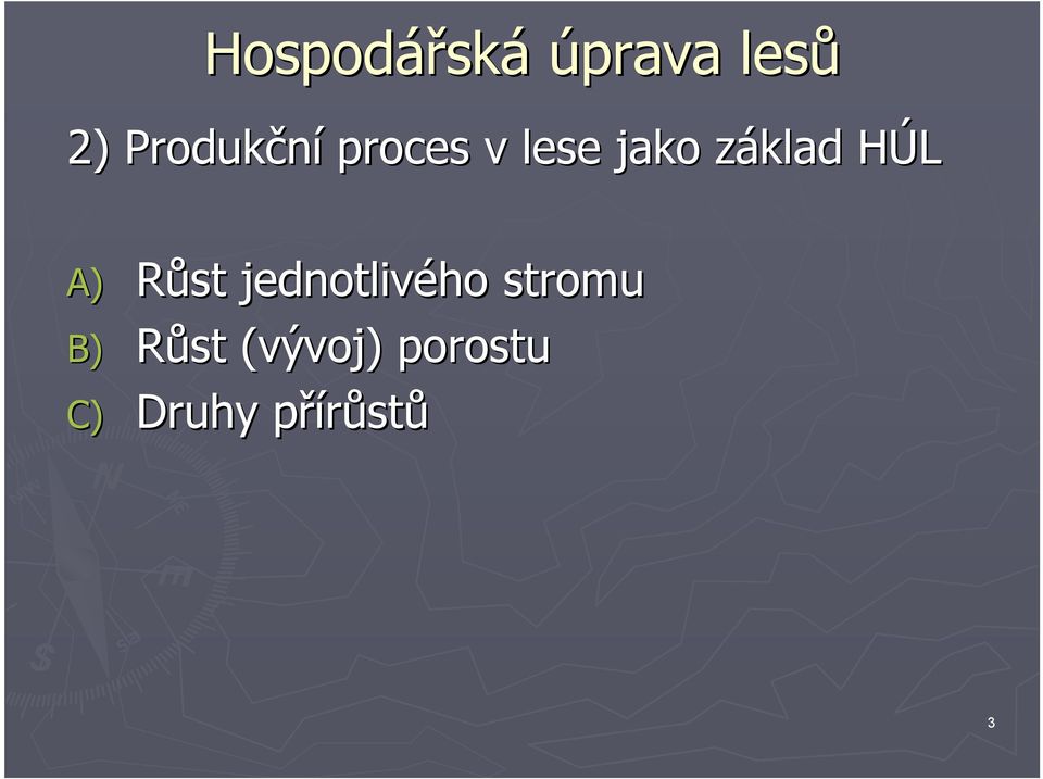 z HÚLH A) Růst jednotlivého stromu