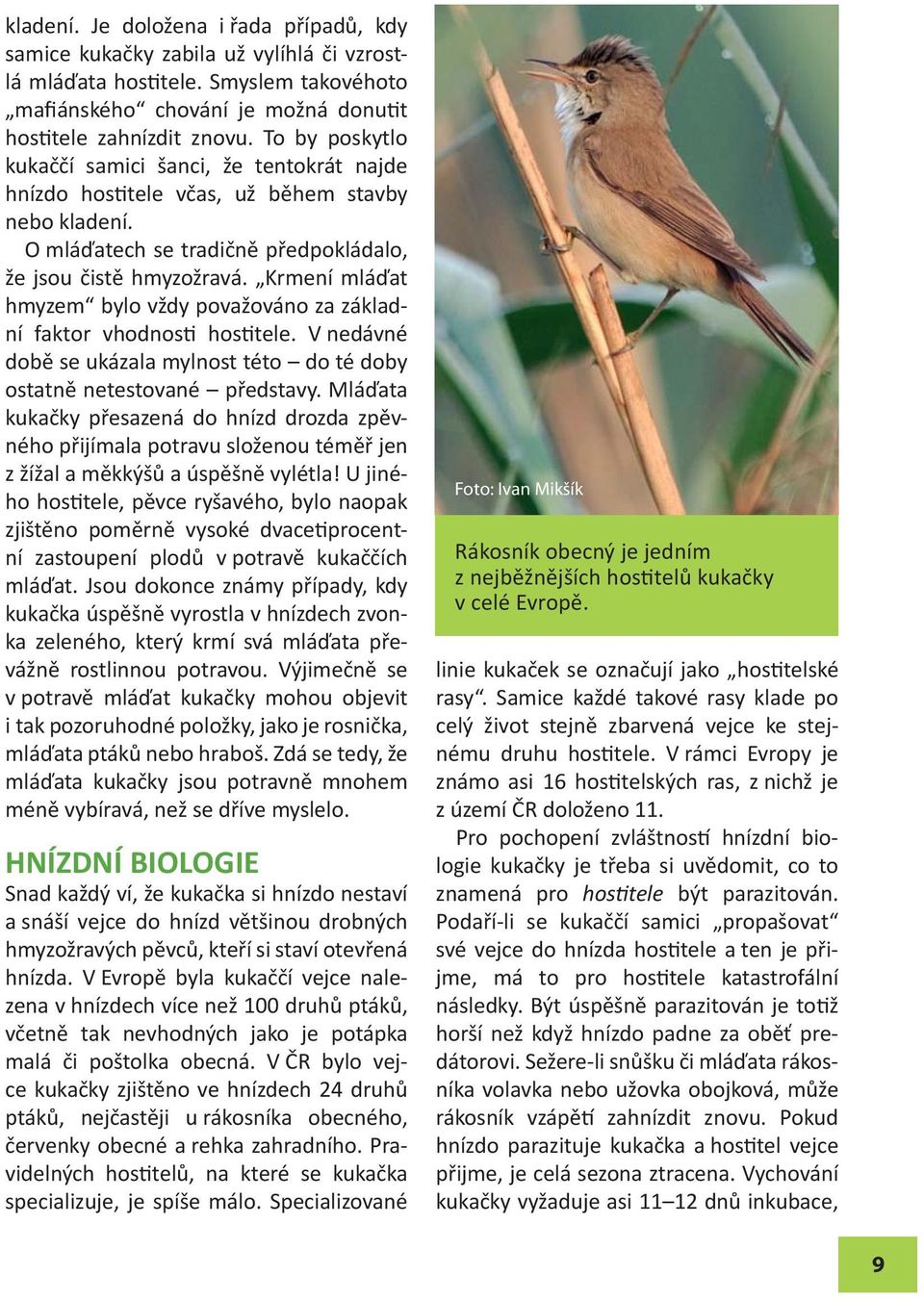 Krmení mláďat hmyzem bylo vždy považováno za základní faktor vhodnosti hostitele. V nedávné době se ukázala mylnost této do té doby ostatně netestované představy.