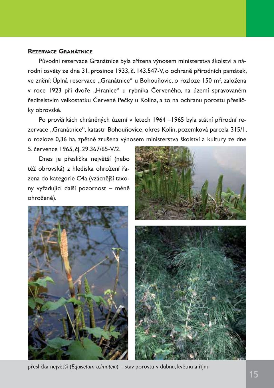 ředitelstvím velkostatku Červené Pečky u Kolína, a to na ochranu porostu přesličky obrovské.