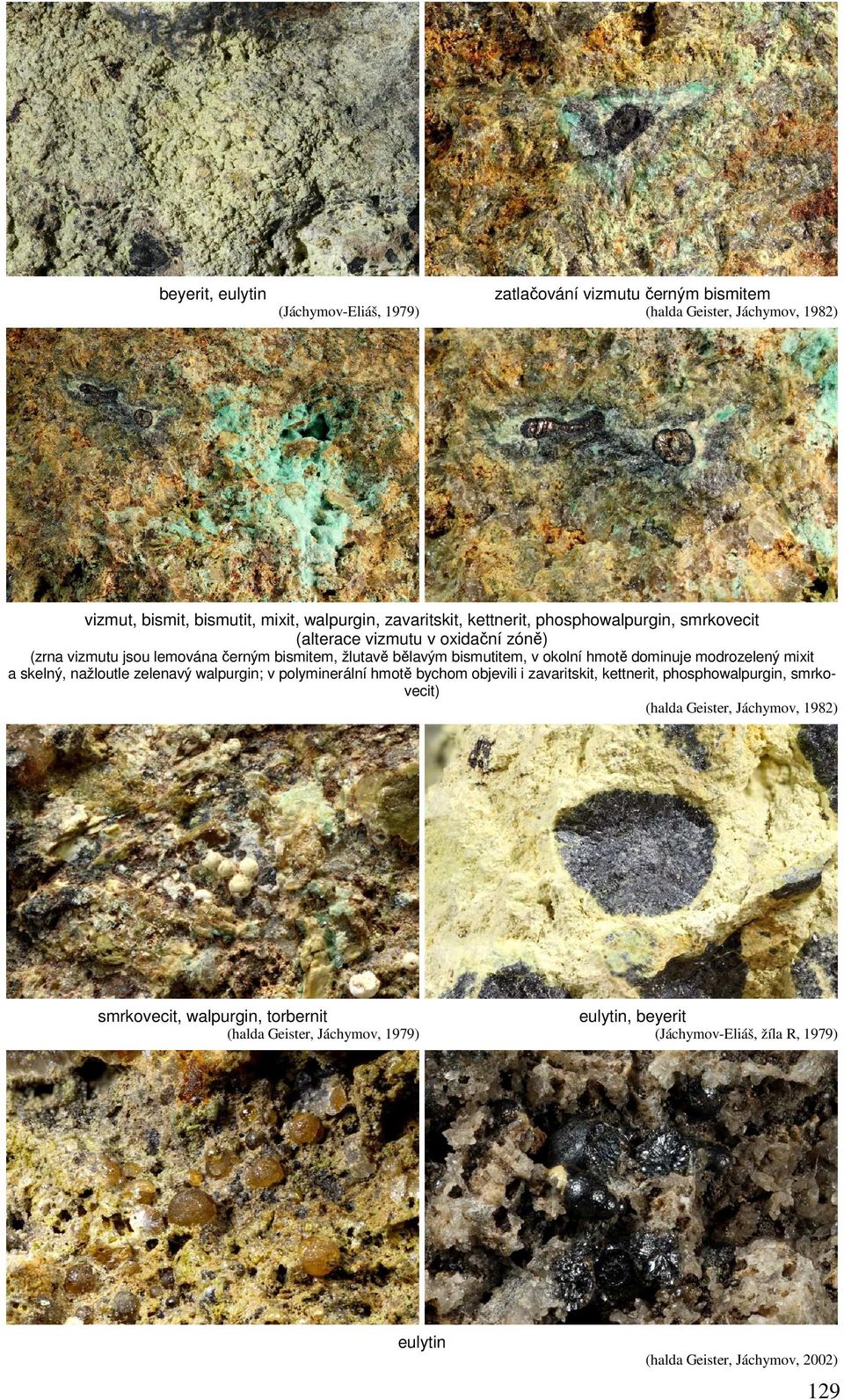 dominuje modrozelený mixit a skelný, nažloutle zelenavý walpurgin; v polyminerální hmotě bychom objevili i zavaritskit, kettnerit, phosphowalpurgin, smrkovecit) (halda