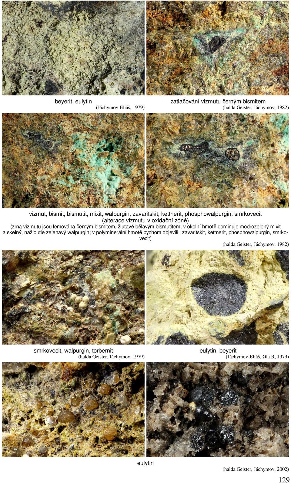 dominuje modrozelený mixit a skelný, nažloutle zelenavý walpurgin; v polyminerální hmotě bychom objevili i zavaritskit, kettnerit, phosphowalpurgin, smrkovecit) (halda