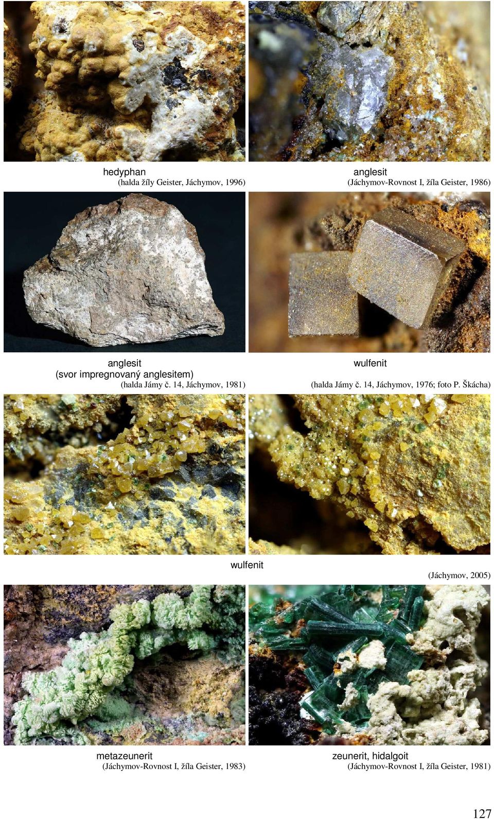 14, Jáchymov, 1981) wulfenit (halda Jámy č. 14, Jáchymov, 1976; foto P.