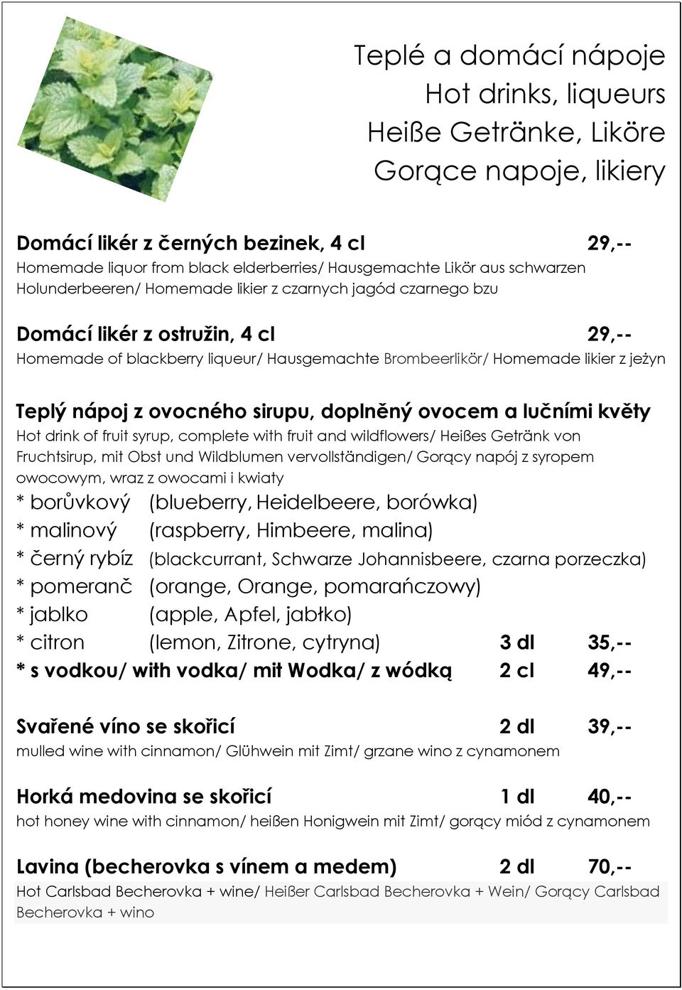 nápoj z ovocného sirupu, doplněný ovocem a lučními květy Hot drink of fruit syrup, complete with fruit and wildflowers/ Heißes Getränk von Fruchtsirup, mit Obst und Wildblumen vervollständigen/