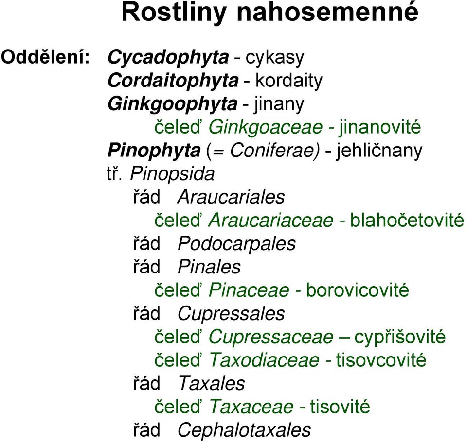 Pinopsida řád Araucariales čeleď Araucariaceae - blahočetovité řád Podocarpales řád Pinales čeleď Pinaceae