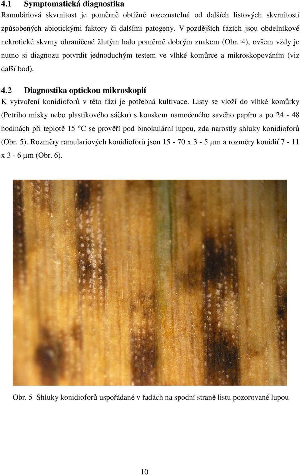 4), ovšem vždy je nutno si diagnozu potvrdit jednoduchým testem ve vlhké komůrce a mikroskopováním (viz další bod). 4.