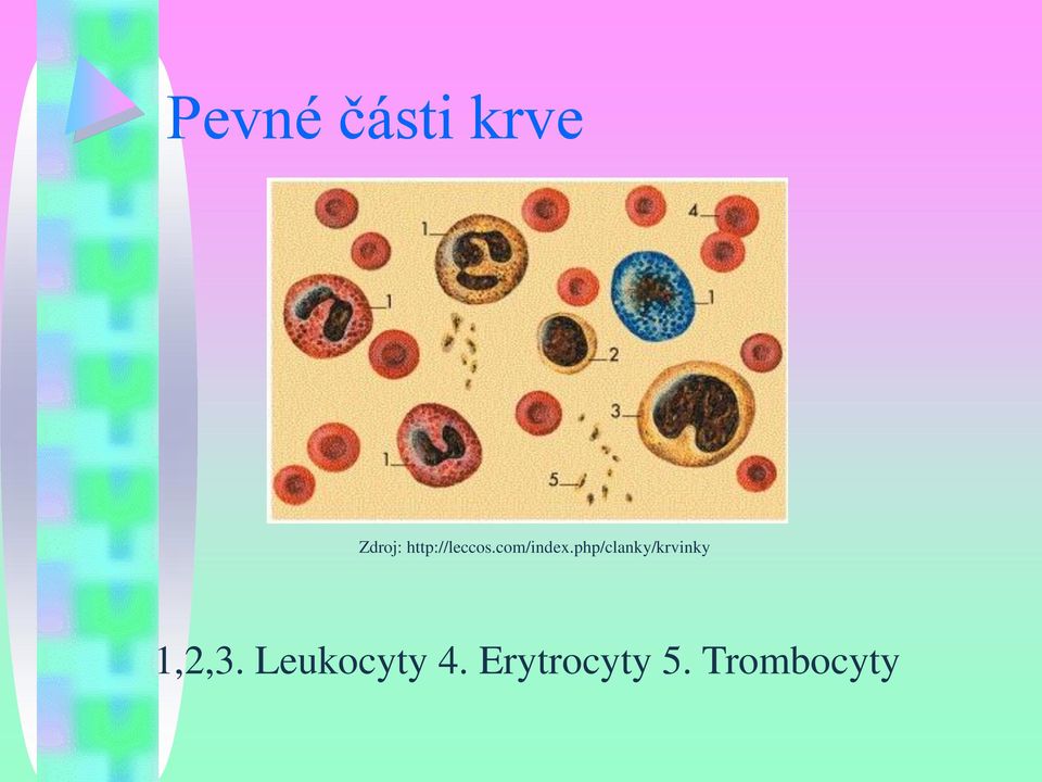 php/clanky/krvinky 1,2,3.