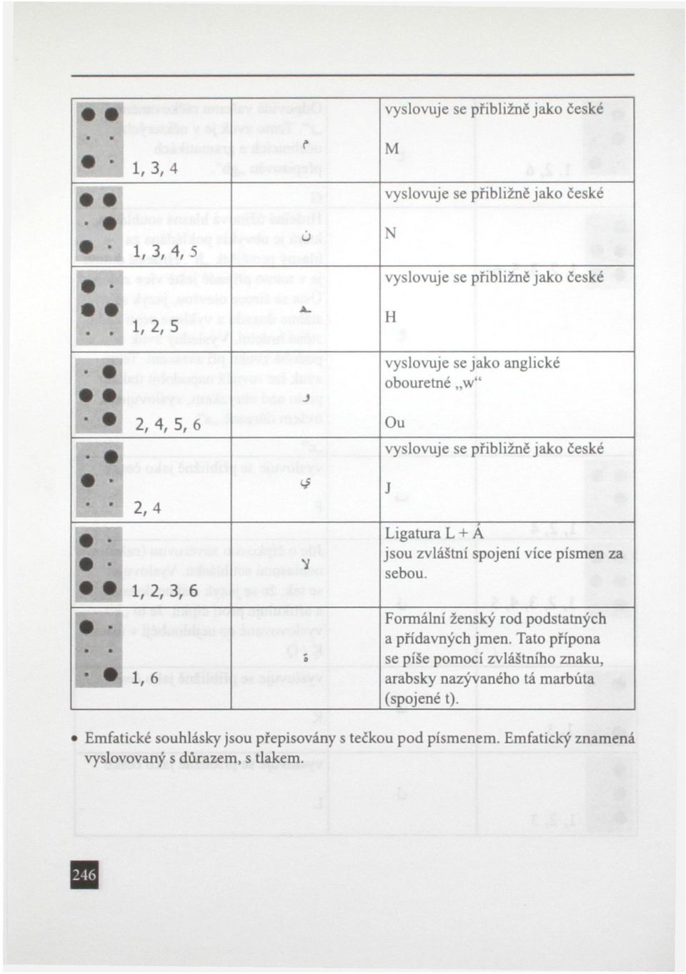 více písmen za sebou. 1, 2, 3, 6 1,6 Ó Formální ženský rod podstatných a přídavných jmen.