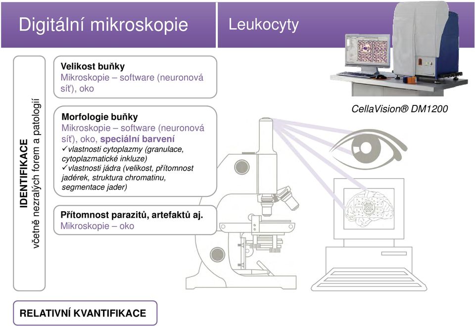 vlastnosti cytoplazmy (granulace, cytoplazmatické inkluze) vlastnosti jádra (velikost, přítomnost jadérek,