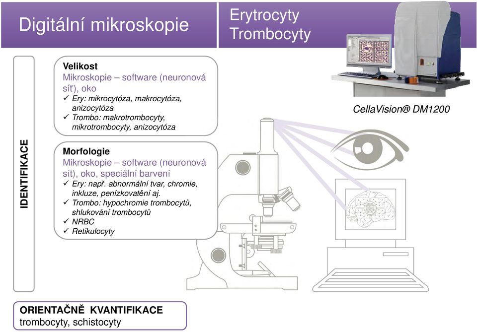 Morfologie Mikroskopie software (neuronová sít), oko, speciální barvení Ery: např.