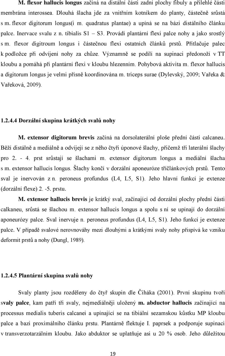 flexor digitroum longus i částečnou flexi ostatních článků prstů. Přitlačuje palec k podloţce při odvíjení nohy za chůze.