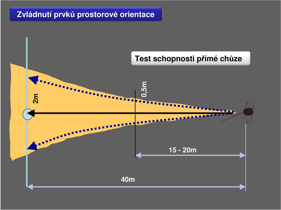 Test schopnosti