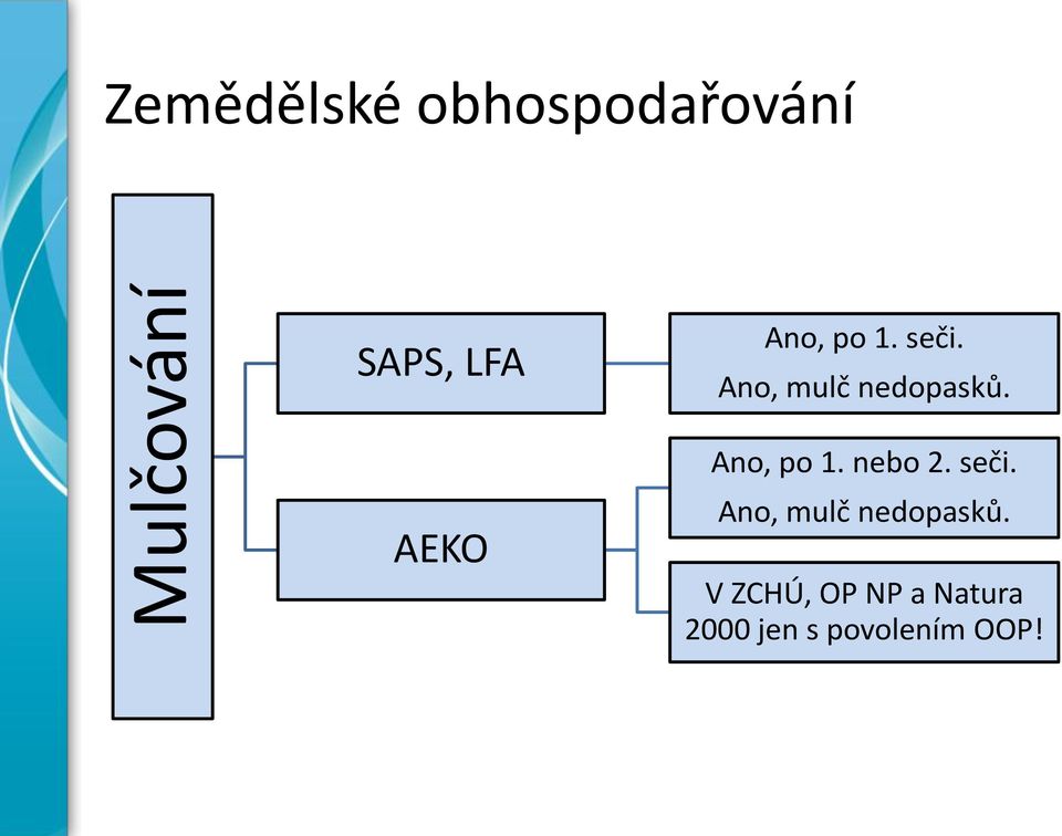 Ano, po 1. nebo 2. seči. Ano, mulč nedopasků.