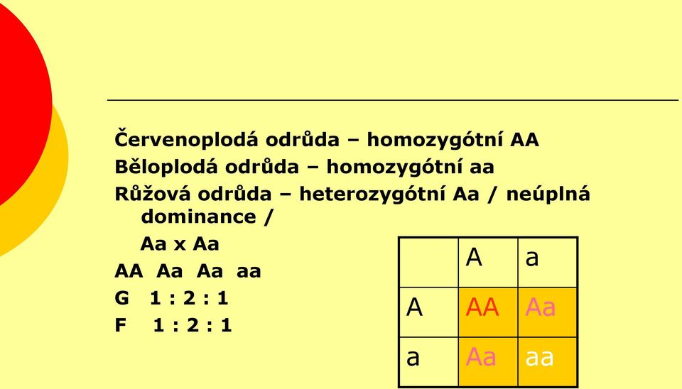 heterozygótní Aa / neúplná dominance / Aa x