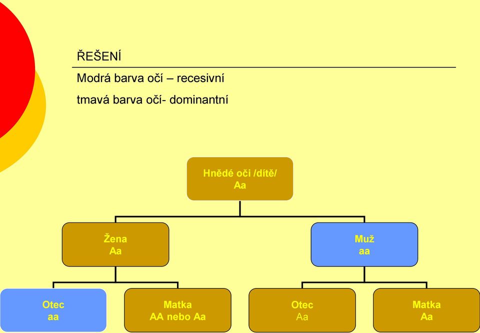 oči /dítě/ Aa Ţena Aa Muţ aa Otec