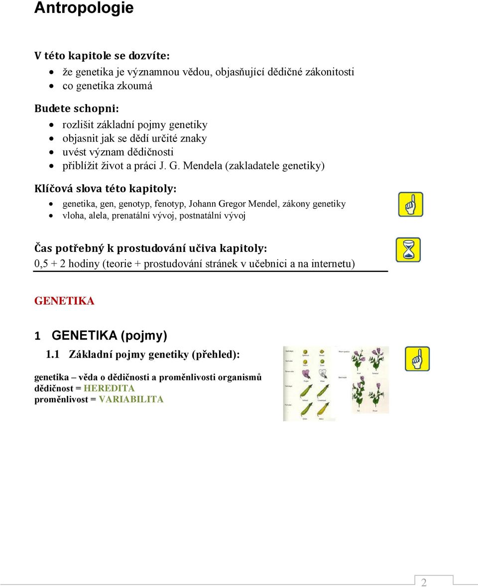 Mendela (zakladatele genetiky) Klíčová slova této kapitoly: genetika, gen, genotyp, fenotyp, Johann Gregor Mendel, zákony genetiky vloha, alela, prenatální vývoj, postnatální vývoj