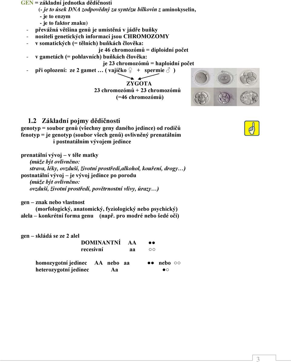 při oplození: ze 2 gamet ( vajíčko + spermie ) ZYGOTA 23 chromozómů + 23 chromozómů (=46 chromozómů) 1.