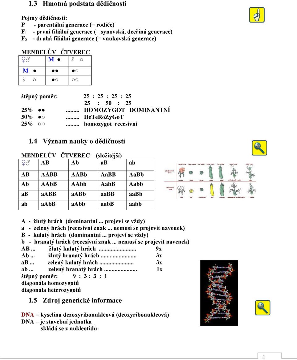 4 Význam nauky o dědičnosti MENDELŮV ČTVEREC (složitější) AB Ab ab ab AB AABB AABb AaBB AaBb Ab AAbB AAbb AabB Aabb ab aabb aabb aabb aabb ab aabb aabb aabb aabb A - žlutý hrách (dominantní.