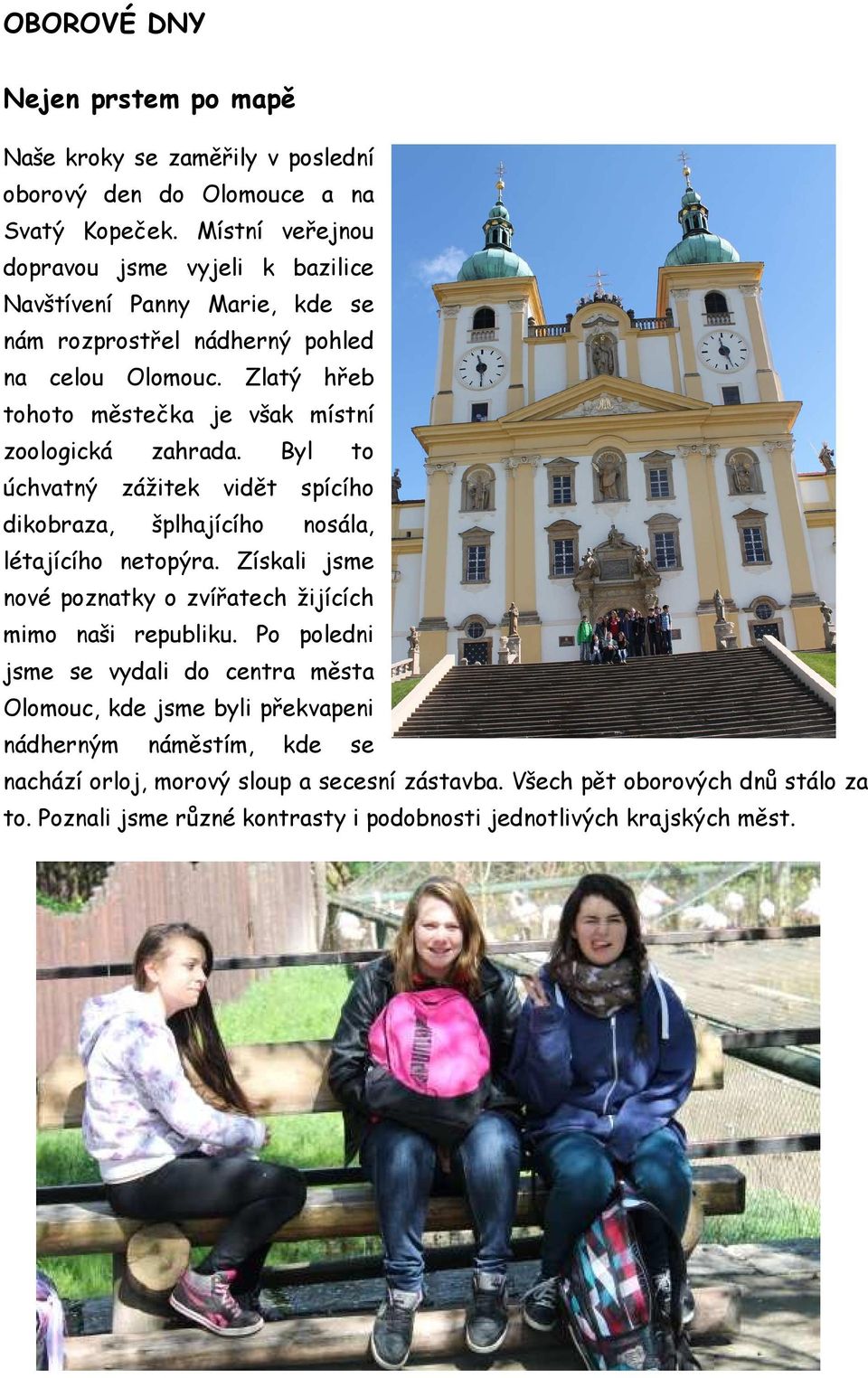 Zlatý hřeb tohoto městečka je však místní zoologická zahrada. Byl to úchvatný zážitek vidět spícího dikobraza, šplhajícího nosála, létajícího netopýra.