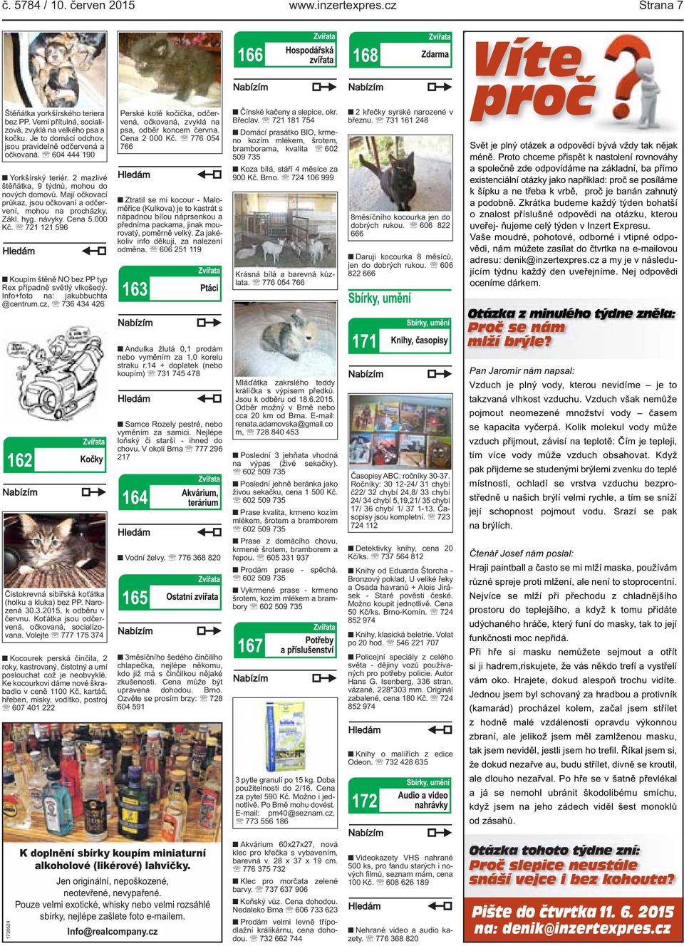 Mají očkovací průkaz, jsou očkovaní a odčervení, mohou na procházky. Zákl. hyg. návyky. Cena 5.000 Kč. 721 121 596 Koupím štěně NO bez PP typ Rex případně světlý vlkošedý.