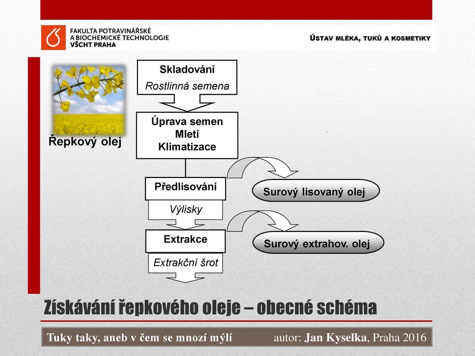 Surový lisovaný olej Extrakce Extrakční šrot