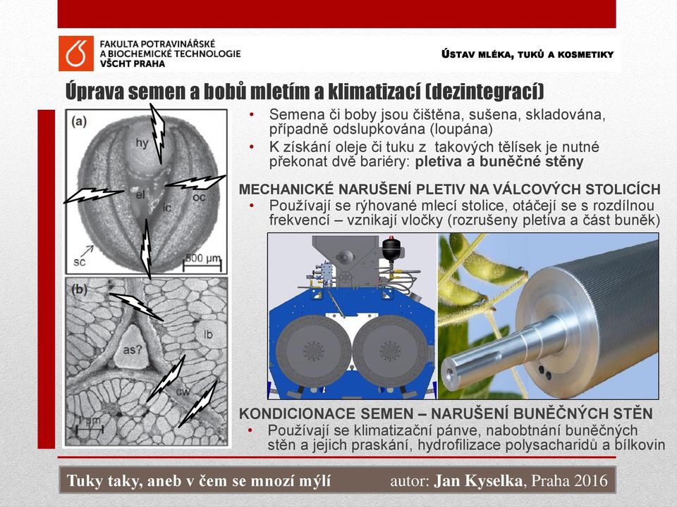 STOLICÍCH Používají se rýhované mlecí stolice, otáčejí se s rozdílnou frekvencí vznikají vločky (rozrušeny pletiva a část buněk)