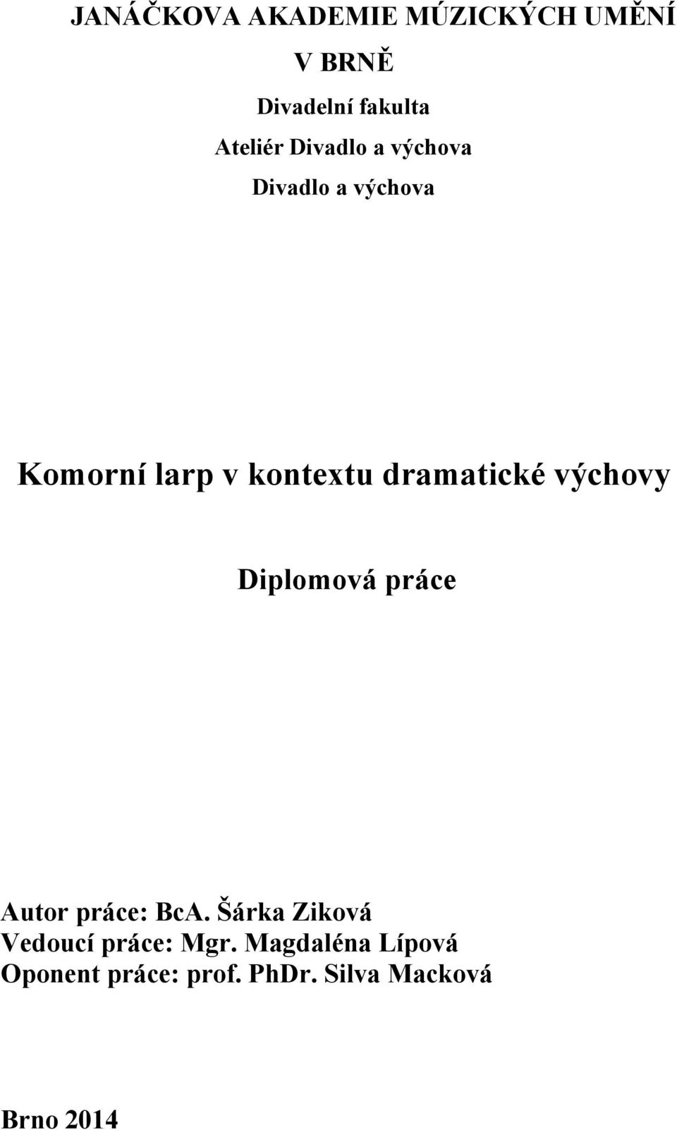 výchovy Diplomová práce Autor práce: BcA.