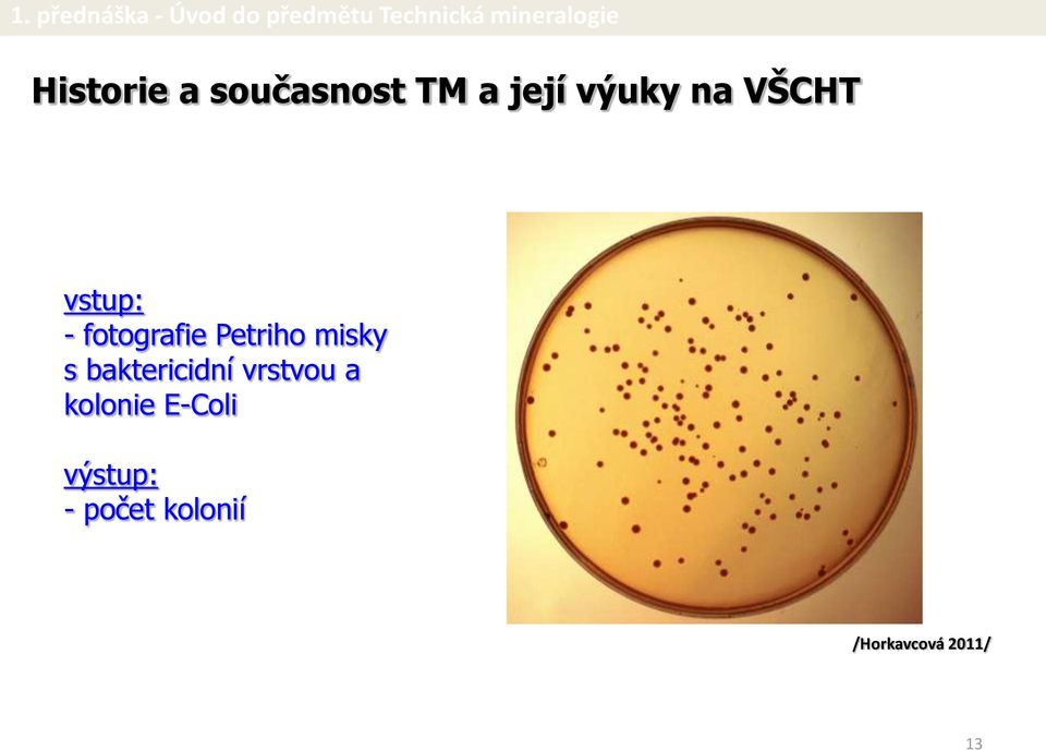 baktericidní vrstvou a kolonie E-Coli