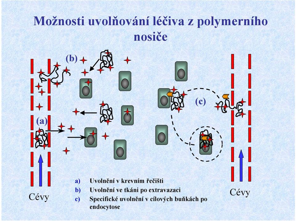 b) Uvolnění ve tkáni po extravazaci c)