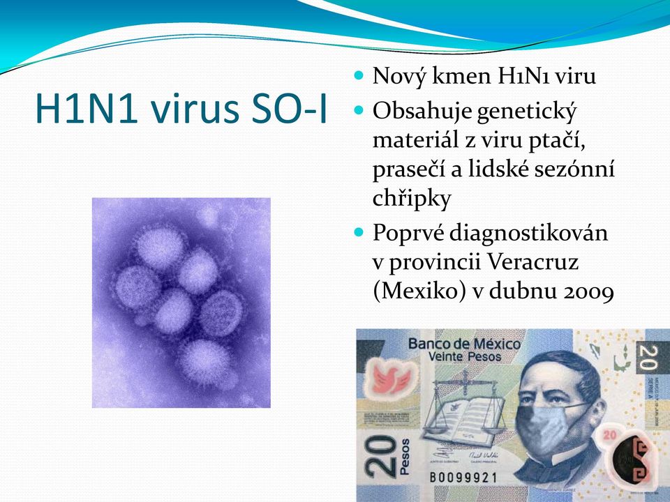 prasečí a lidské sezónní chřipky Poprvé