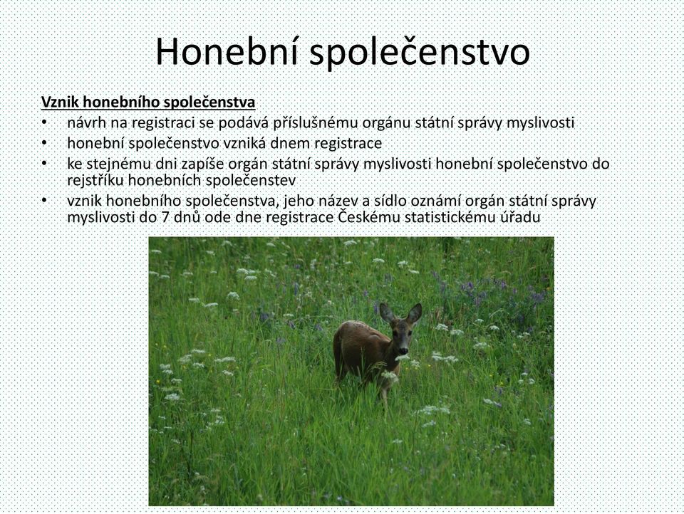 myslivosti honební společenstvo do rejstříku honebních společenstev vznik honebního společenstva, jeho