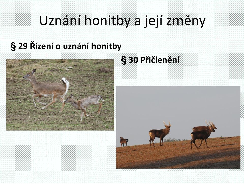 Řízení o uznání