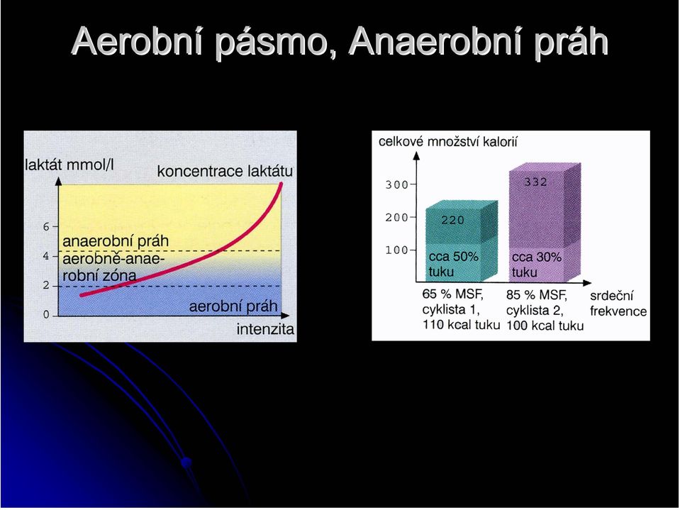 Anaerobní