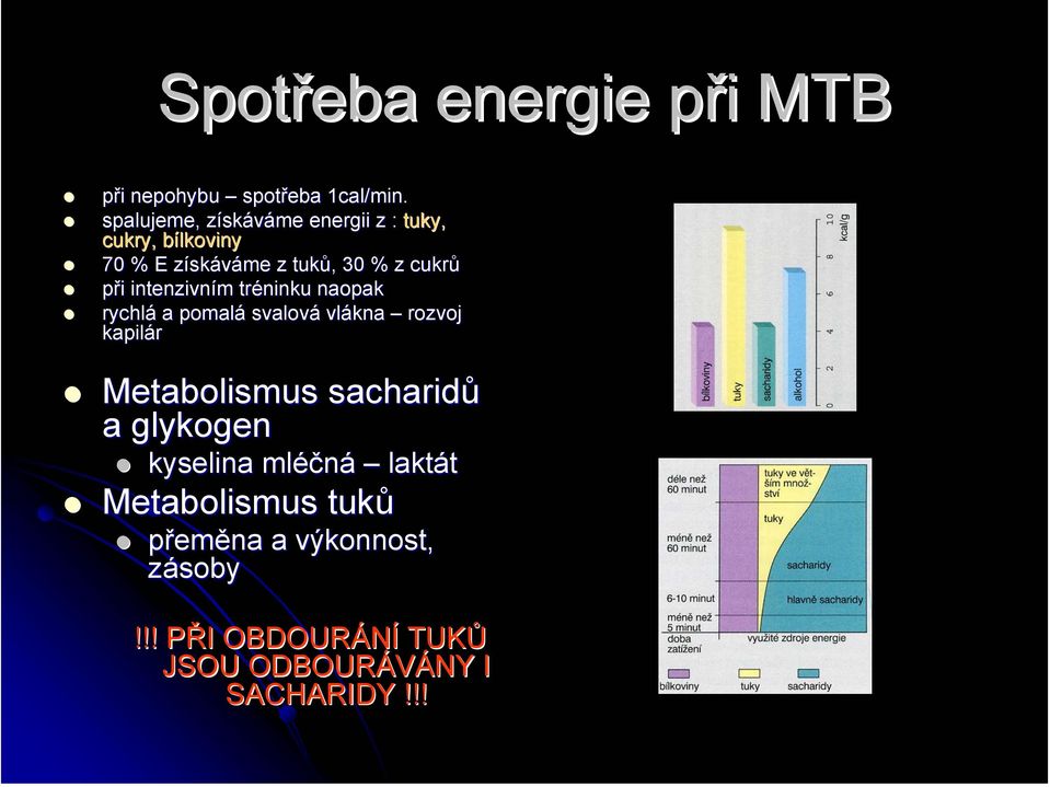 při intenzivním tréninku naopak rychlá a pomalá svalová vlákna rozvoj kapilár Metabolismus