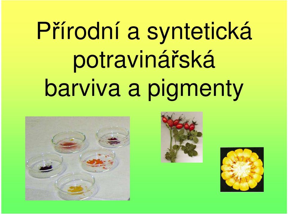 potravinářská