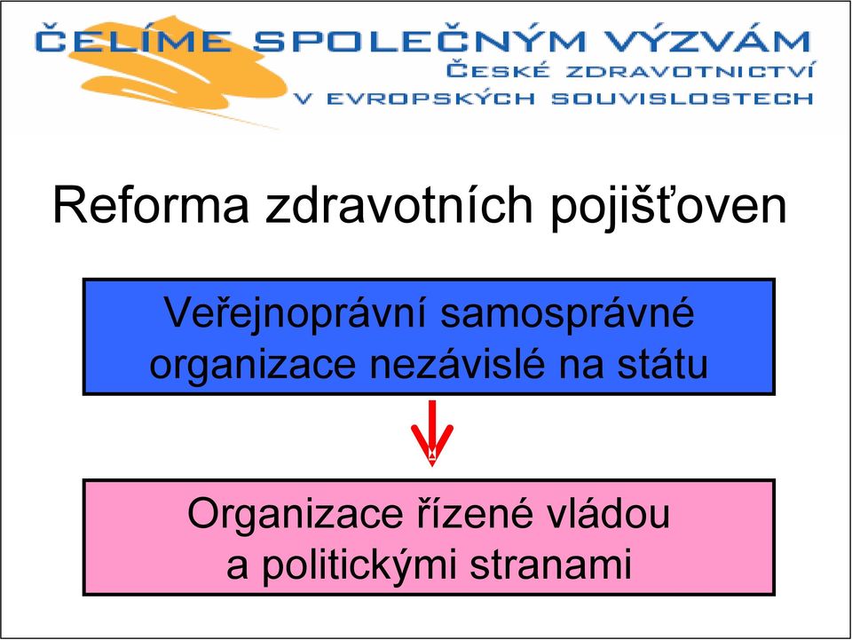 organizace nezávislé na státu