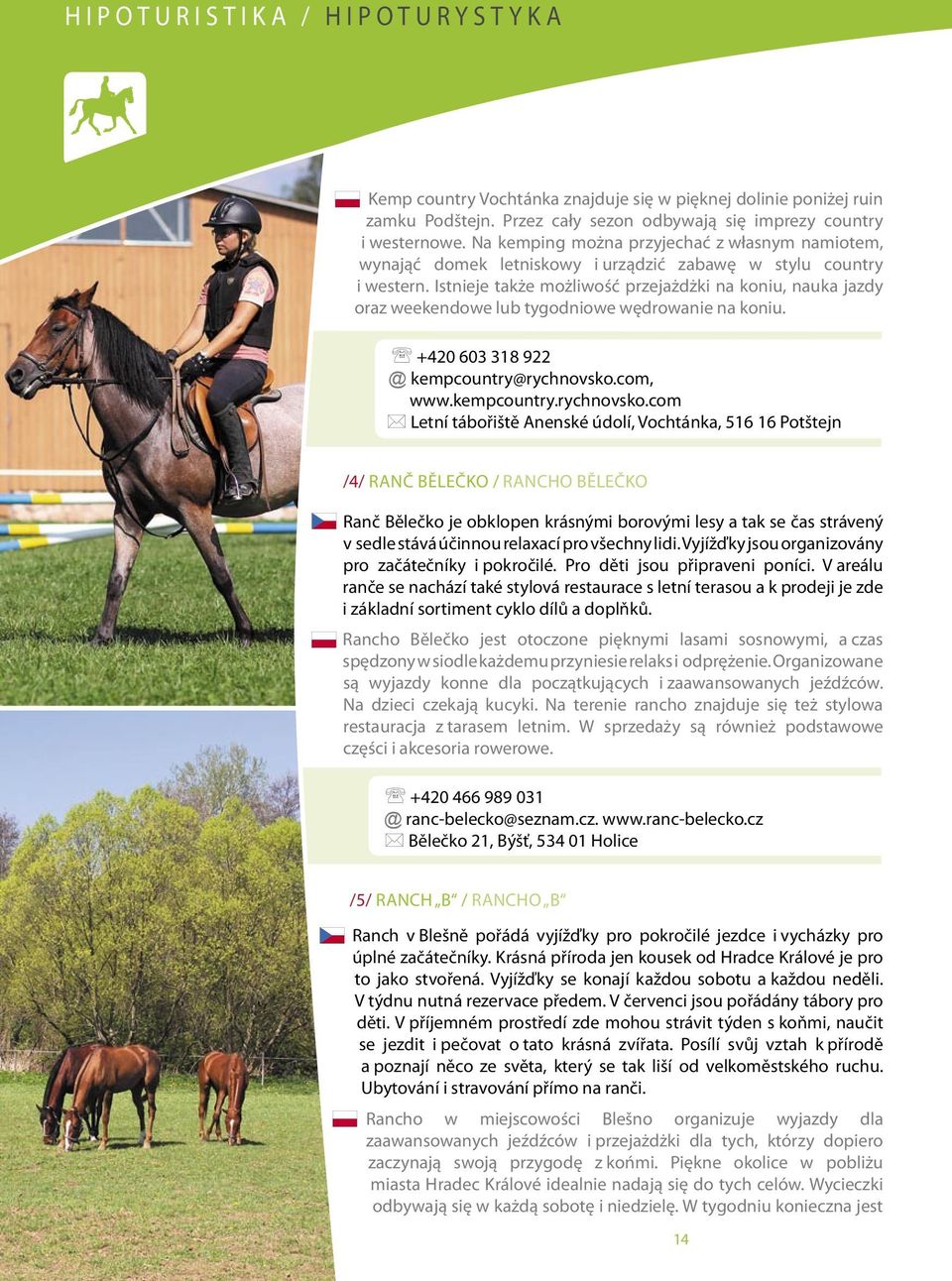 istnieje także możliwość przejażdżki na koniu, nauka jazdy oraz weekendowe lub tygodniowe wędrowanie na koniu. +420 603 318 922 @ kempcountry@rychnovsko.