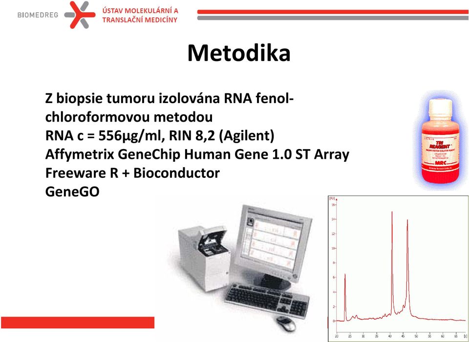 556µg/ml, RIN 8,2 (Agilent) Affymetrix