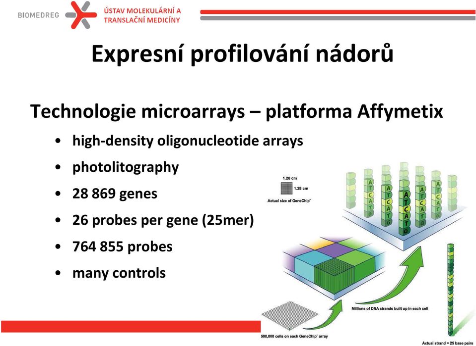 oligonucleotide arrays photolitography 28 869