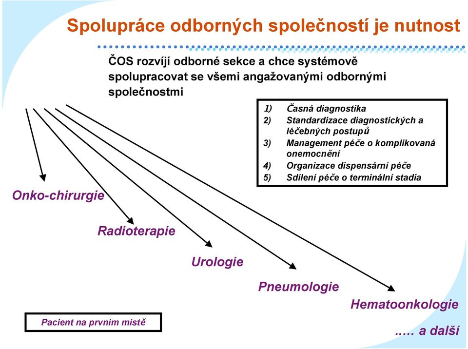 diagnostických a léčebných postupů 3) Management péče o komplikovaná onemocnění 4) Organizace dispensární