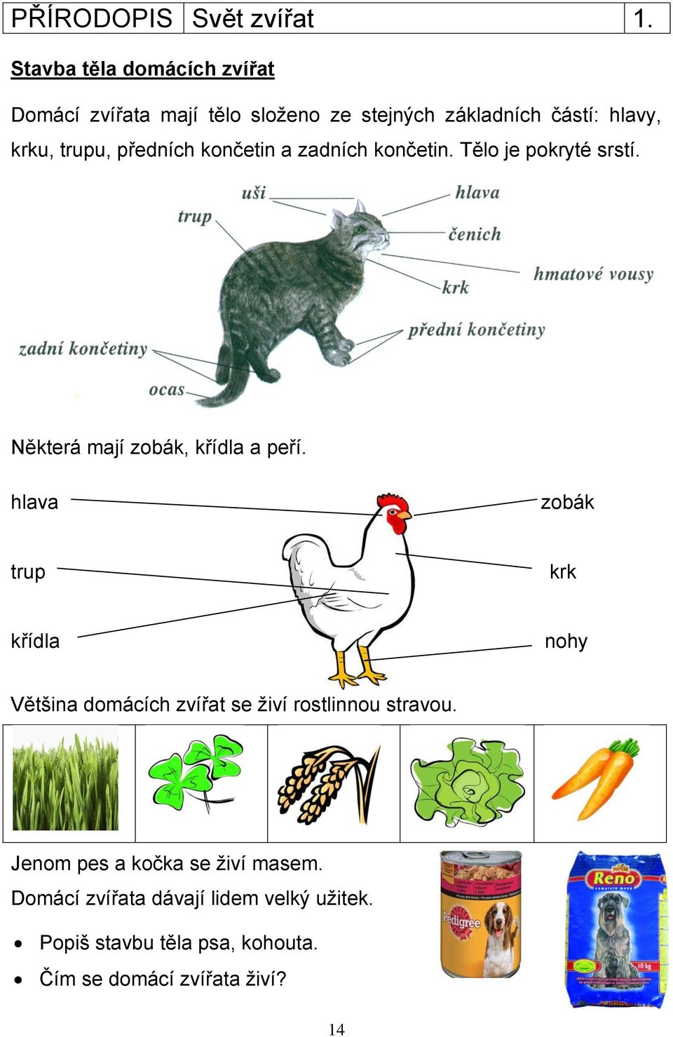 předních končetin a zadních končetin. Tělo je pokryté srstí. Některá mají zobák, křídla a peří.