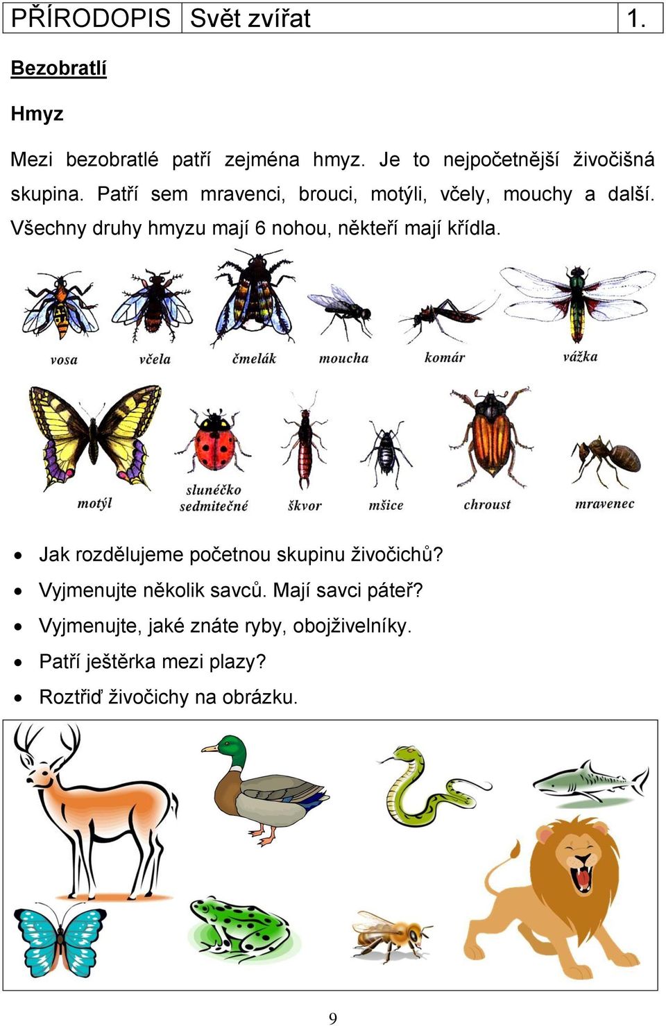 Všechny druhy hmyzu mají 6 nohou, někteří mají křídla. Jak rozdělujeme početnou skupinu živočichů?