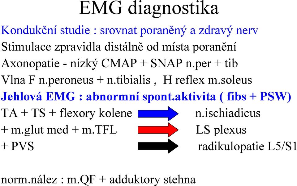 tibialis, H reflex m.soleus Jehlová EMG : abnormní spont.