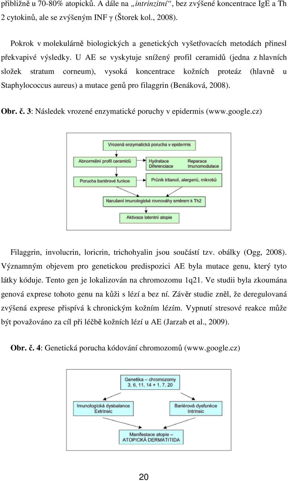 U AE se vyskytuje snížený profil ceramidů (jedna z hlavních složek stratum corneum), vysoká koncentrace kožních proteáz (hlavně u Staphylococcus aureus) a mutace genů pro filaggrin (Benáková, 2008).