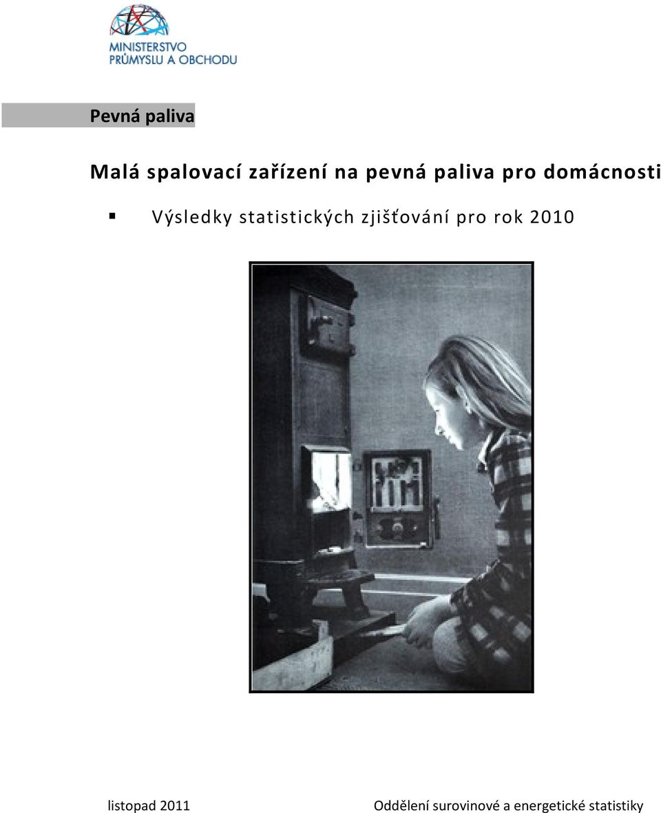 statistických zjišťování pro rok 2010