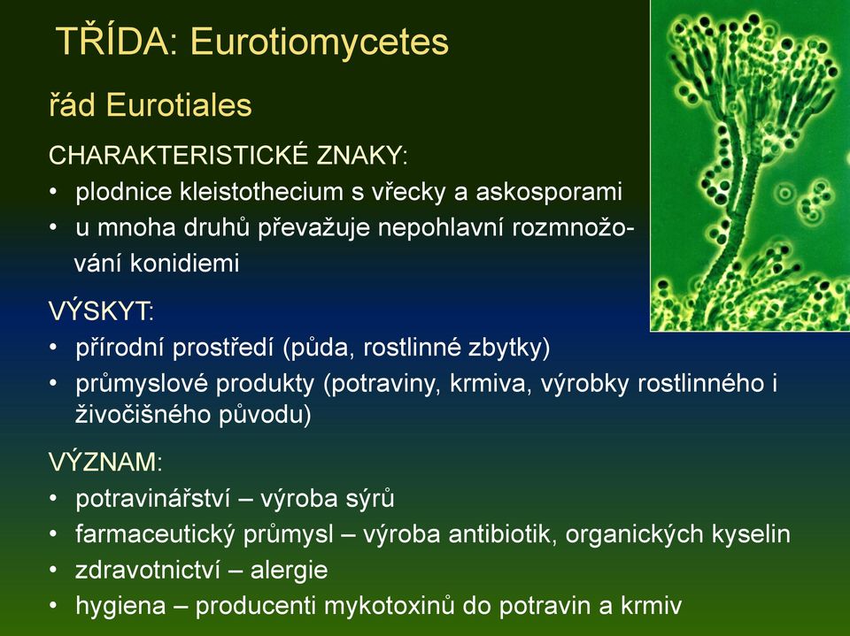 produkty (potraviny, krmiva, výrobky rostlinného i živočišného původu) VÝZNAM: potravinářství výroba sýrů