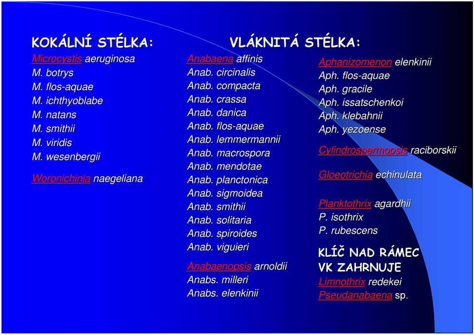 macrospora Anab. mendotae Anab. planctonica Anab. sigmoidea Anab. smithii Anab. solitaria Anab. spiroides Anab. viguieri Anabaenopsis arnoldii Anabs. milleri Anabs.