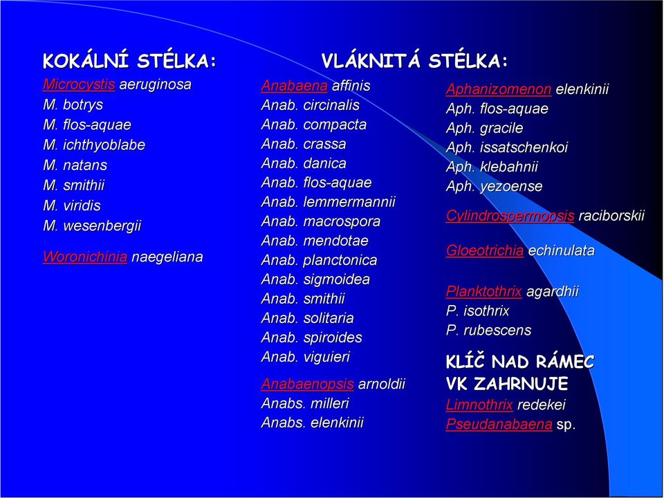 macrospora Anab. mendotae Anab. planctonica Anab. sigmoidea Anab. smithii Anab. solitaria Anab. spiroides Anab. viguieri Anabaenopsis arnoldii Anabs. milleri Anabs.