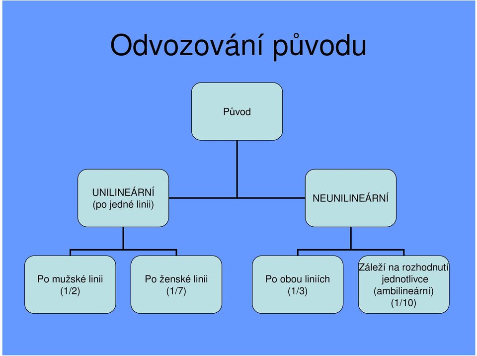 ženské linii (1/7) Po obou liniích (1/3)