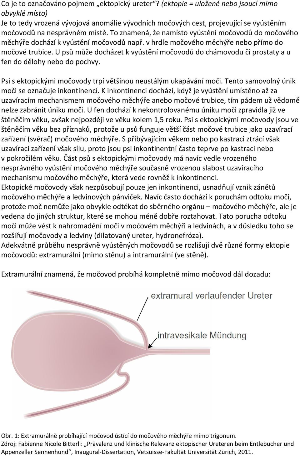 To znamená, že namísto vyústění močovodů do močového měchýře dochází k vyústění močovodů např. v hrdle močového měchýře nebo přímo do močové trubice.
